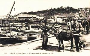 Oran - Port - Un Marchand de poissons